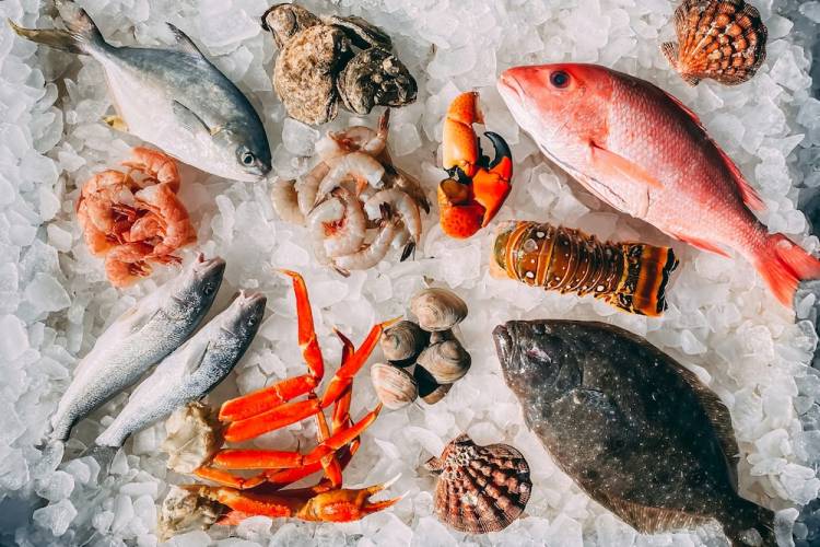 Fresh seafood