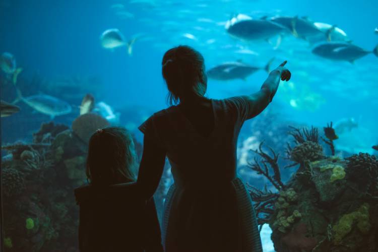 people at an aquarium