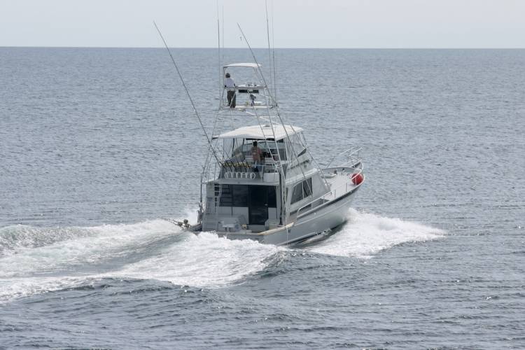 fishing charter