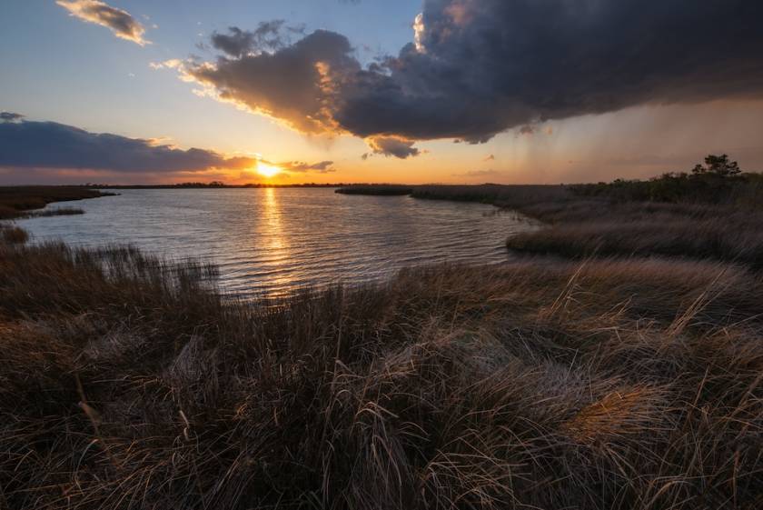 Sunset over the marsh at Back Bay Wildlife Refuge in Virginia.