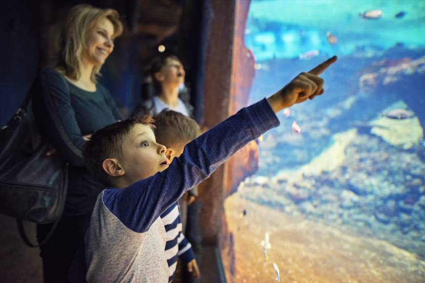 family at an aquarium